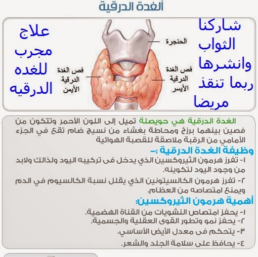 اعراض قصور الغدة الدرقية - مرض الغده الدرقيه ونبذه عنه 3922