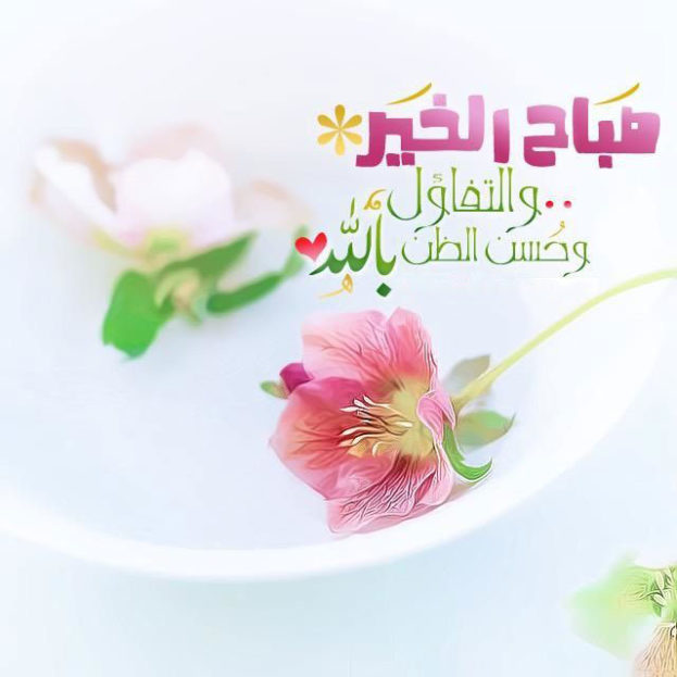 صباح الخير 2019 - اجدد عبارات الصباح فى 2019 870 13