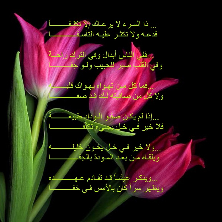 شعر عن الصديق الغالي - صور شعر للصديق الغالى مميز جدا 6127 6