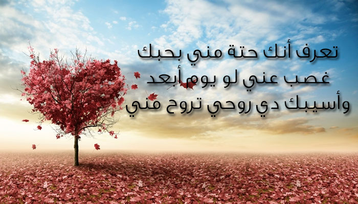 رسائل حب وغرام - الغرام والمحبه بالرسائل 3561 11