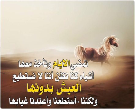 صور عن الكرامه - الكرامة و عزة النفس 2406 10