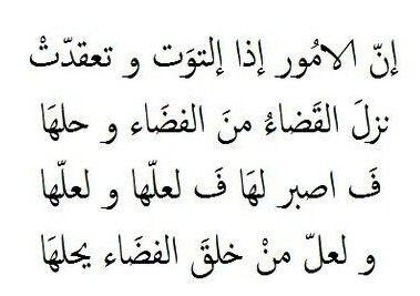 قواعد العشق الاربعون - الكتاب الممتاز قواعد العشق الاربعون 1716 5