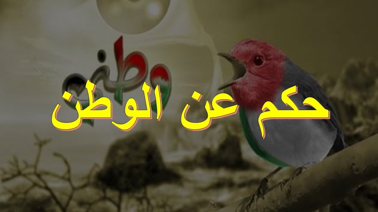 حكم عن الوطن 5802