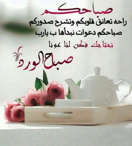 عن صباح الخير 11762 7