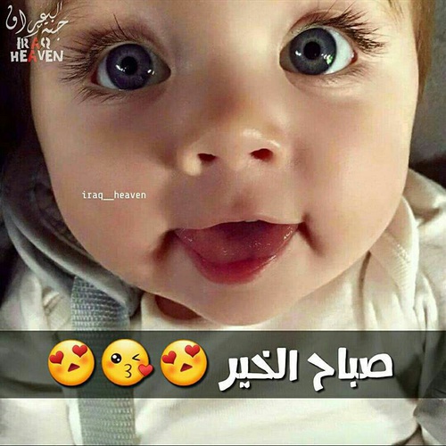 صباح الخير مضحكة - صباح الخير بابتسامه 3422 12