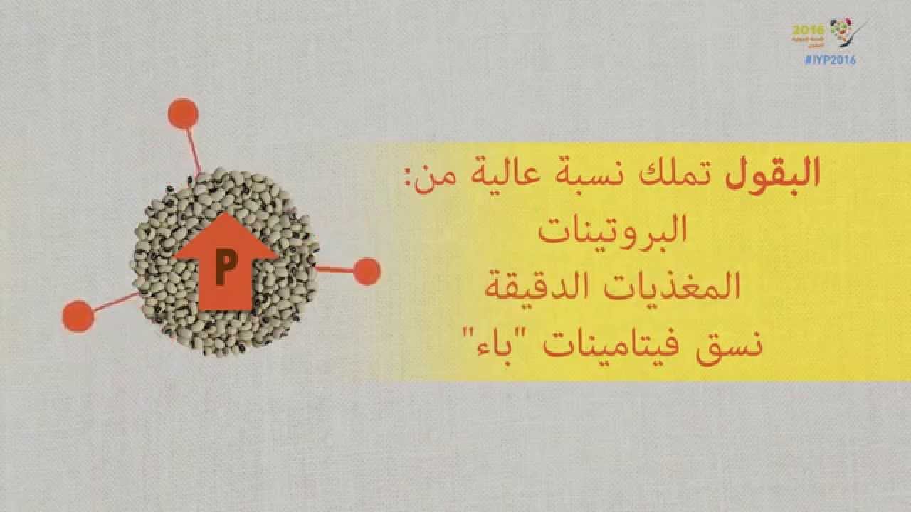 ما هي البقوليات - تعرف على البقول 5578 11