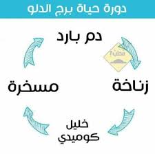 حظك اليوم برج الدلو , تعرف على توقعات برج الدلو اليوم