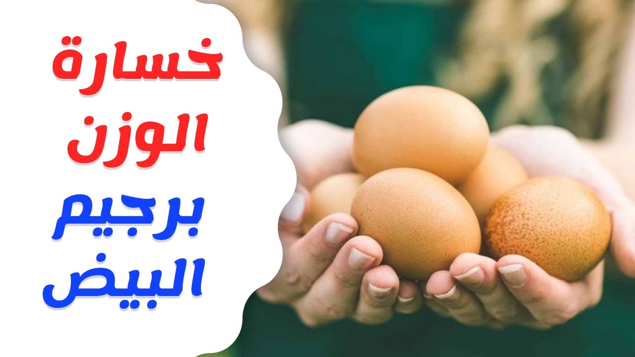 رجيم البيض - اجدد انواع الريجيم 1677 1