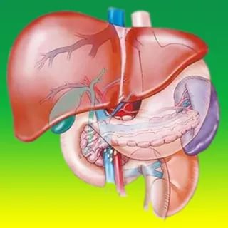 علاج تليف الكبد - العلاج الطبى الصحيح لتليف الكبد 3059