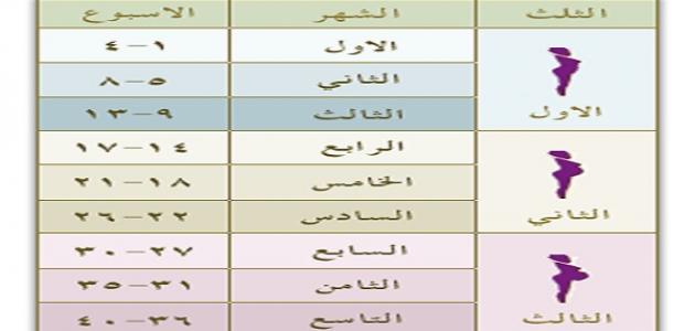 حاسبة الحمل بالاشهر - لو عايزة تحسبي فترة الحمل ده جدول لحساب الحمل بالاسابيع والشهور 5434