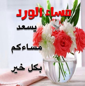 صور صباح ومساء - احلى الصور اليومية صبح ومسا 4431 1