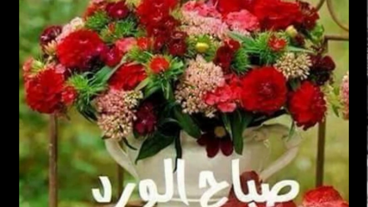 صور صباح ومساء الخير - اجمل الصور الصباحية والمسائية 4567