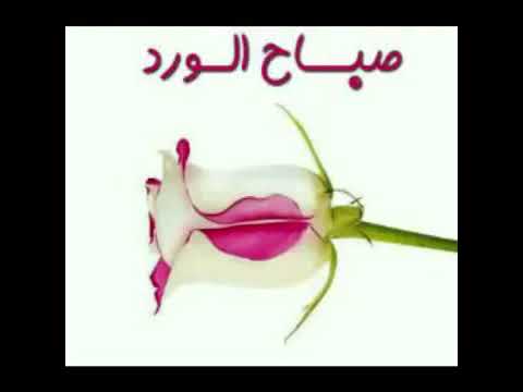 صور صباحيات - خلفيات للصباحيات 3284