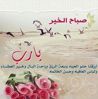 عن صباح الخير 11762 2