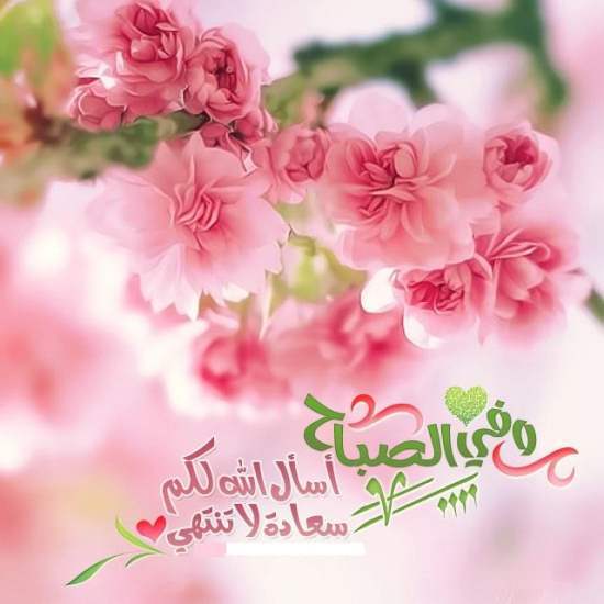 صباح الخير حبي - صباح الحب و الاحساس لاعز الناس 939 4