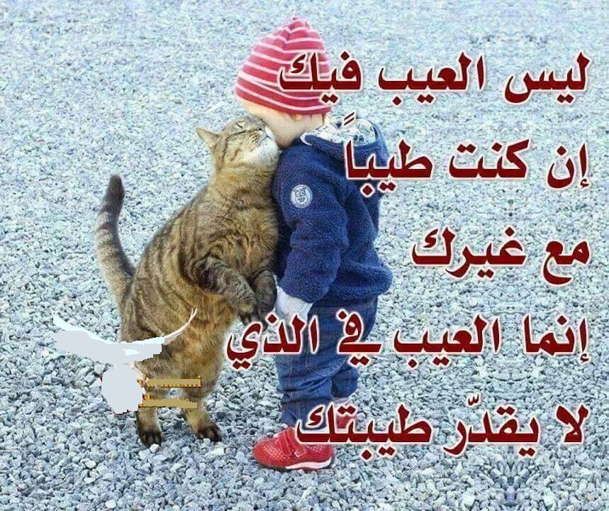 حكم و عبر‚ حكم عبر الزمان 3946 5