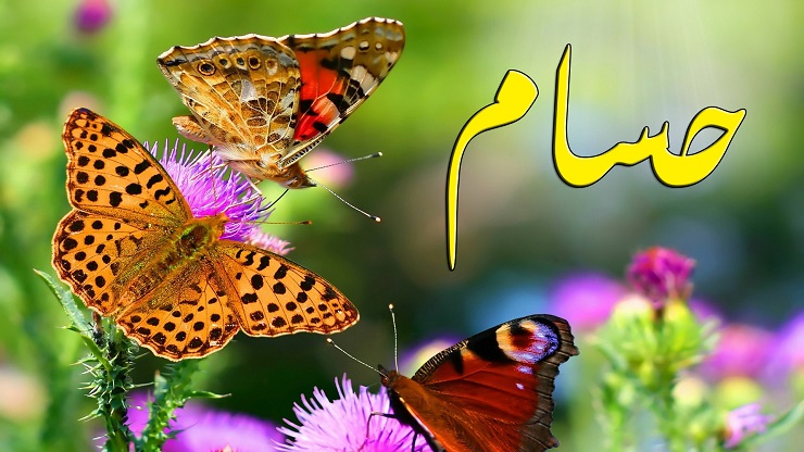 صور اسم حسام - معني اسم حسام 4136 45