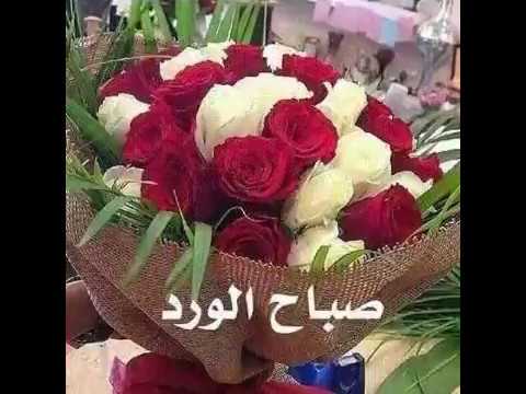 صباح الخير حبيبتي الغالية 11768 4