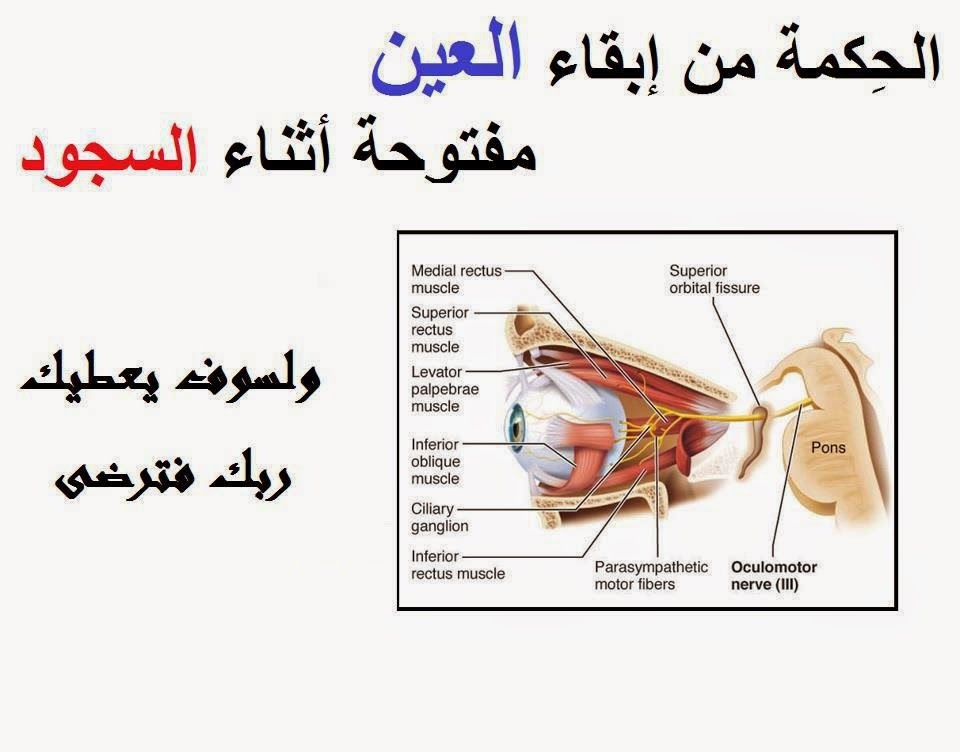 معلومات علمية - حقائق مزهله عن العلم 4064 1