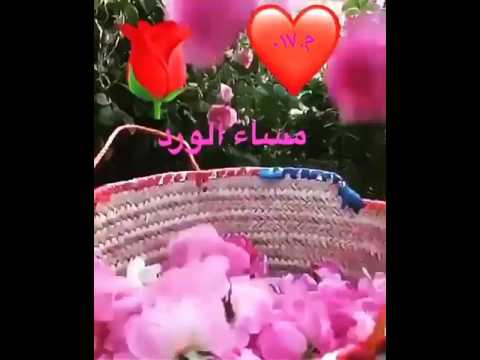 مساء الورد شعر - احلى مساء مساء الورد 2590 11