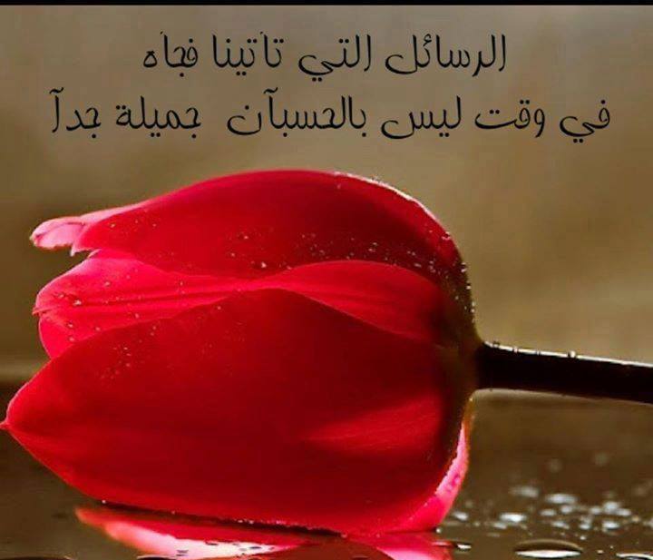 زهور الكلمات - صور زهور الكلمات 5247 9