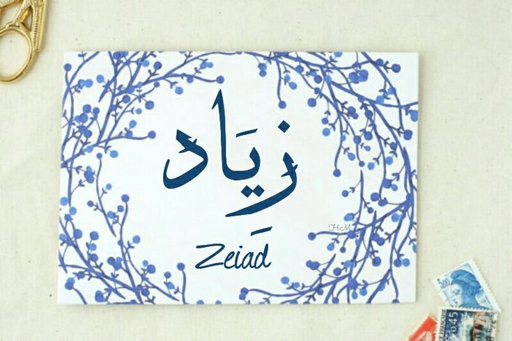 معنى اسم زياد , صفات مميزة لحامل اسم زياد