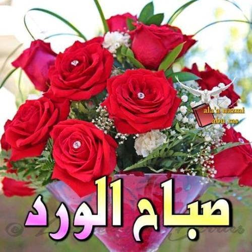 احلى صور صباح الخير - صور اجمل الكلمات الصباحيه 5055 6