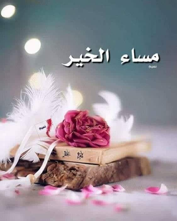 صور مساء الخير متحركه 5783 3