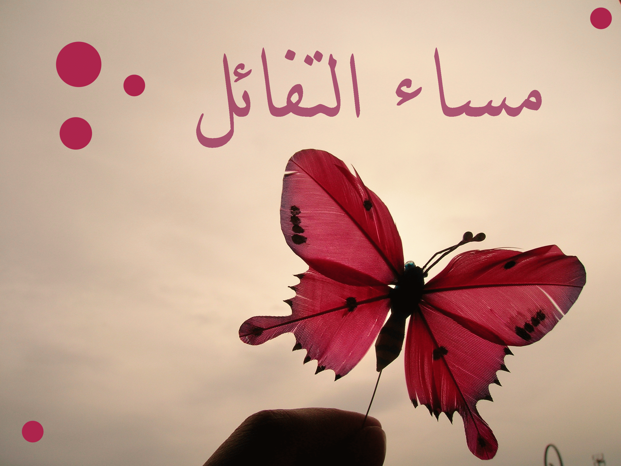 مسجات مساء الورد - احلى مسجات مساء الورد 5158