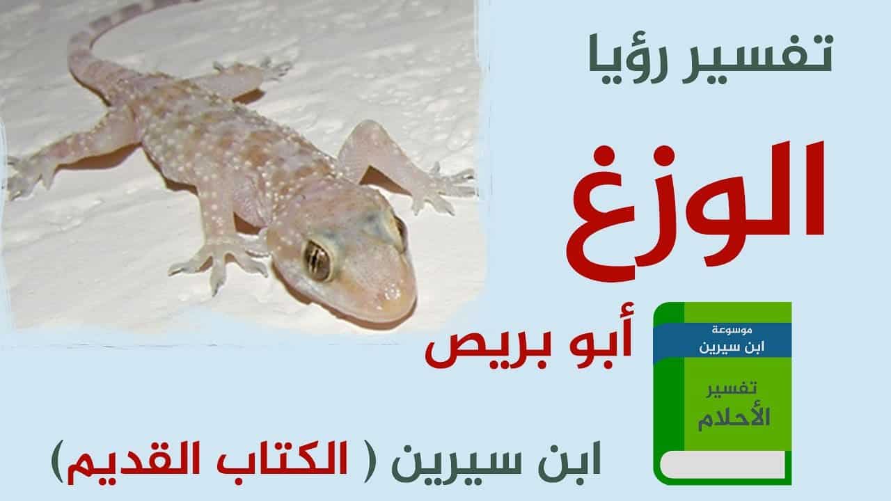 تفسير حلم الوزغ , رؤية البرص فى المنام