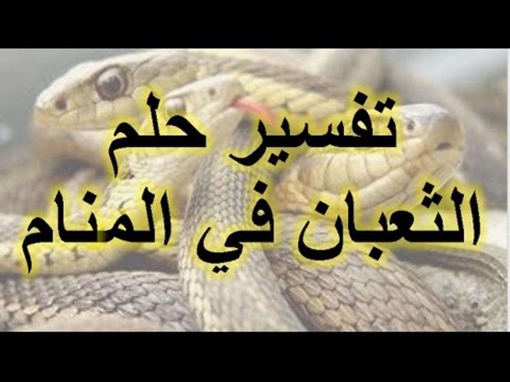 رؤية الثعبان في المنام- الحلم ده بيتكرر معها معظم البنات 6371