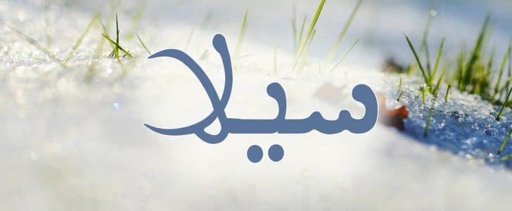 معنى اسم سيلا - اسم جميل رقيق منتشر الان 773 3