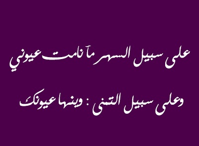 شعر عن النوم 6411