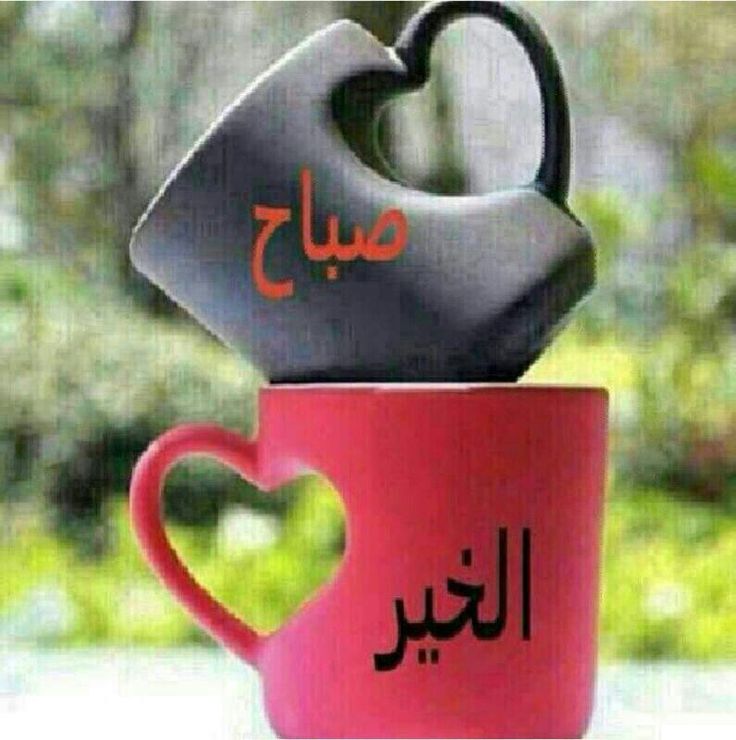 صور منوعات - كل جديد من صور منوعات 2613 6