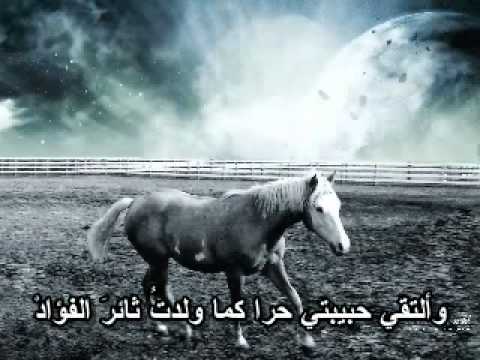 شعر عن الخيل - اروع اشعار للخيل 4007 4