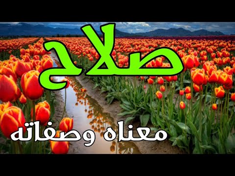 خلفيات اسم صلاح 11759