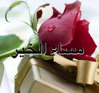 كلمات مساء الخير للاصدقاء‚ كلمات جميله ورقيقه 3913 7