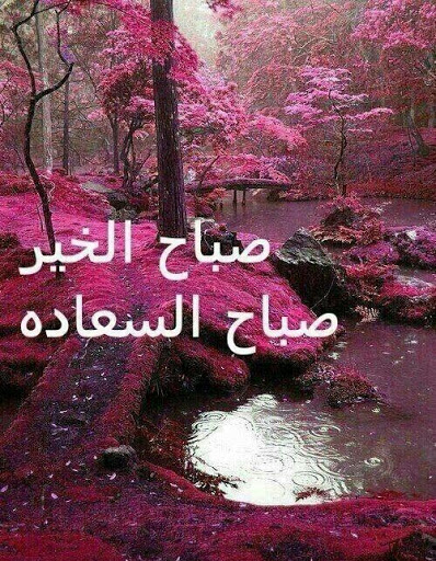 صور صباح ومساء الخير - اجمل الصور الصباحية والمسائية 4567 4