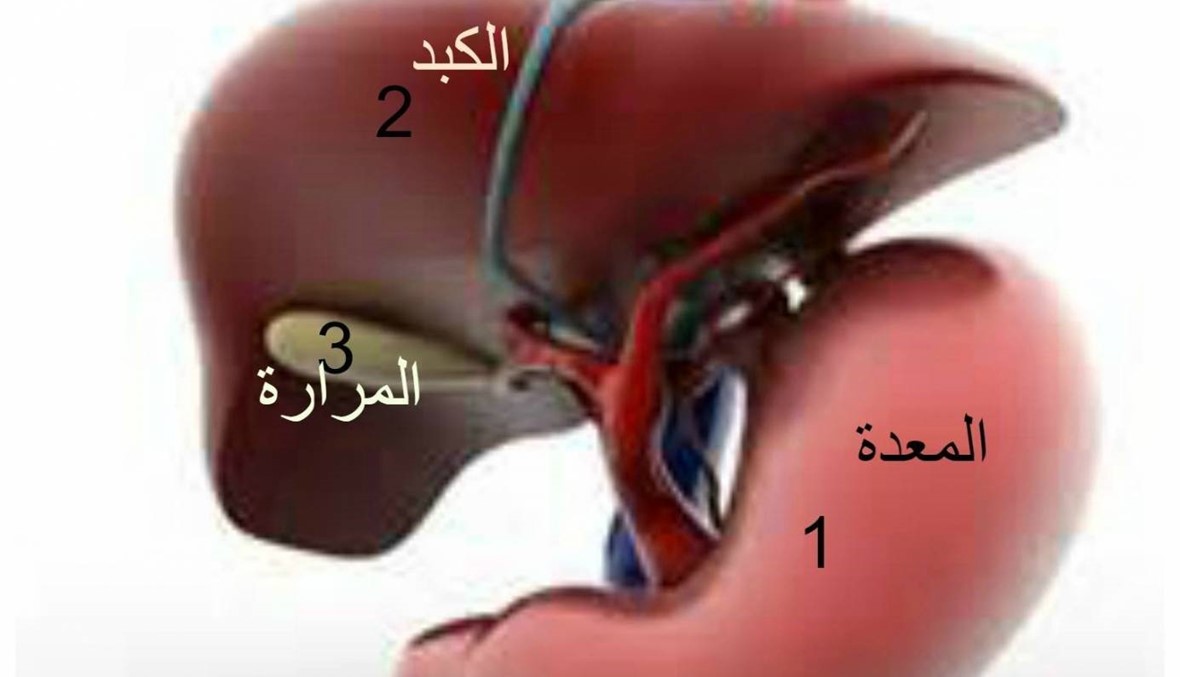 استئصال المرارة سلبياتها وايجابياتها- تعرفوا معنا على المراره 12273 3