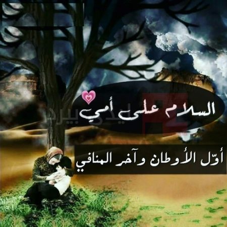 احلى كلام عن الام - كلمات حب من القلب للام 989 7