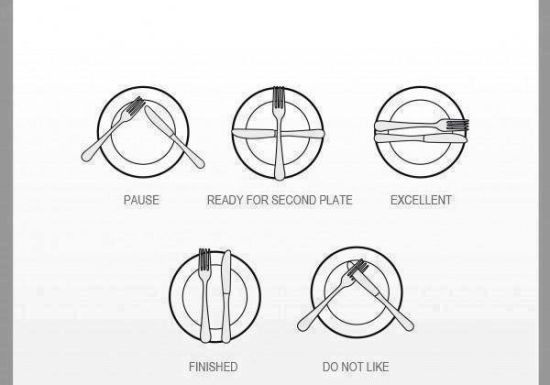 اتيكيت الطعام , معلومات عن اتيكيت الطعاء
