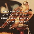 4698 11 قصائد مدح الرجال الكفو - اجمل القصائد لمدح الكفو ورود