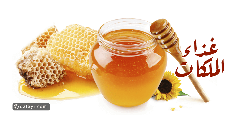 12563 كيفية استخدام غذاء ملكات النحل - طريقة لعمل خلطات بعسل النحل ايليا جمال