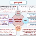 12687 3 انواع الاسم في اللغة العربية - اقسام الاسم في اللغة العربية شوق الرياض