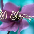 3753 12 صور خلفيات اسلامية - روحانيات الاسلام في صور الخلفيات الجميلة طماعه حيان