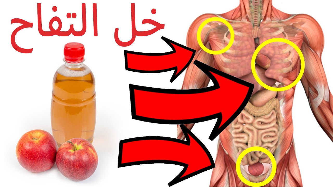 11515 2 فوائد شرب خل التفاح على الريق - فائدة تناول خل التفاح على معدة فارغة شوق الرياض