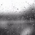 16092 1 تفسير حلم المطر في المنام لابن سيرين- اعرف على ماذا يدل المطر في المنام امنيه محمد