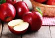 15974 1 فوائد اكل التفاح-ستحب التفاح كما احببته لفوائده المذهلة ميرنا بشار