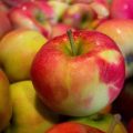 16129 1 التفاح فى المنام - تفسير رؤية التفاح في المنام طماعه حيان